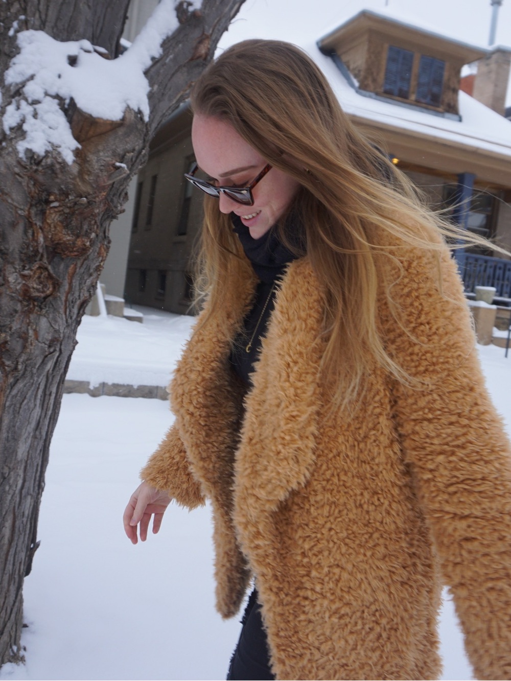 Cozy Teddy Faux Shearling Coat - Brown